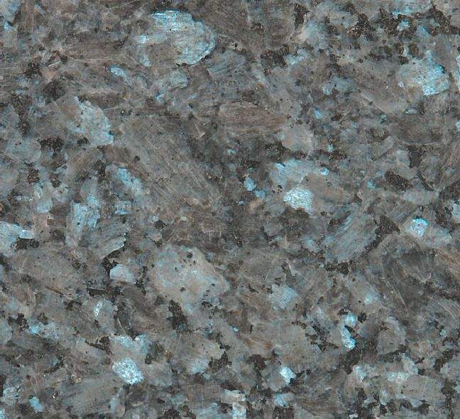 Labrador blue, č. 195