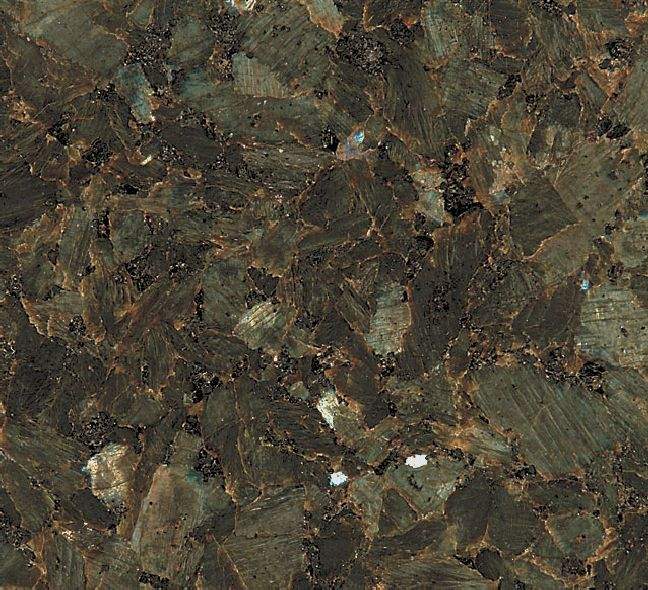 Labrador verde, č. 196