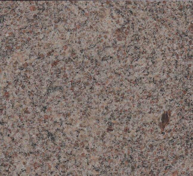 Paradiso classico, č. 208