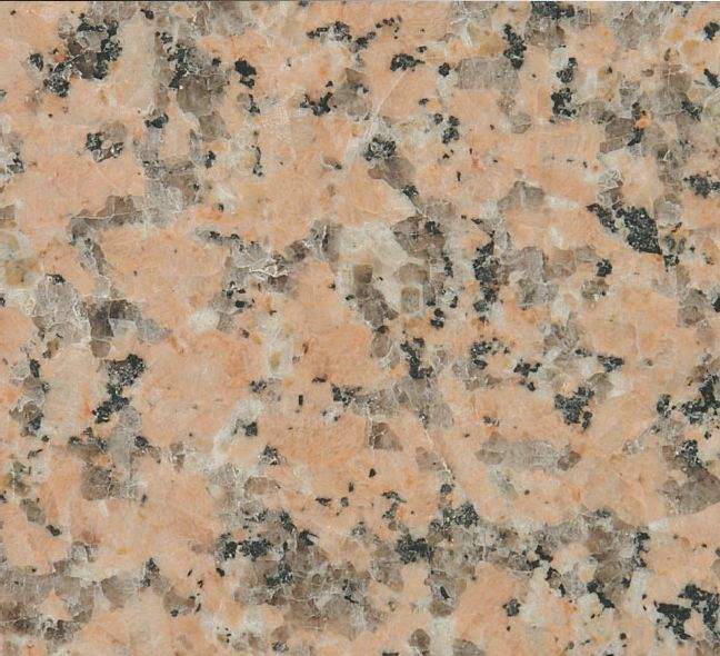 Rosa porino, č. 210