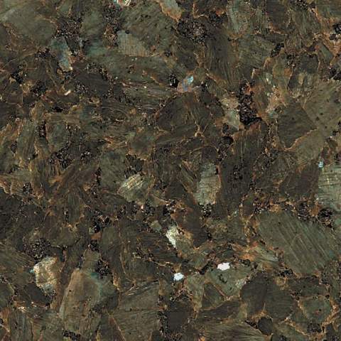 Labrador verde, č. 196