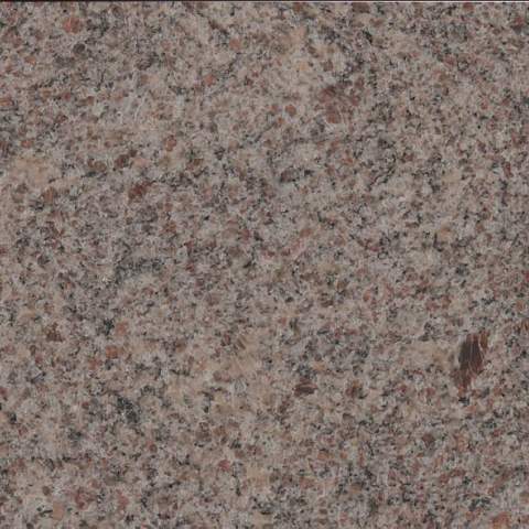 Paradiso classico, č. 208