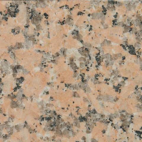 Rosa porino, č. 210